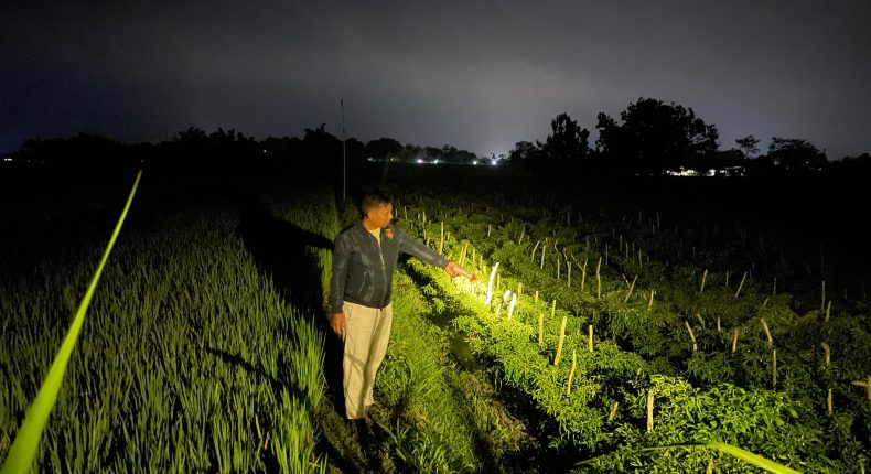 foto slider headline