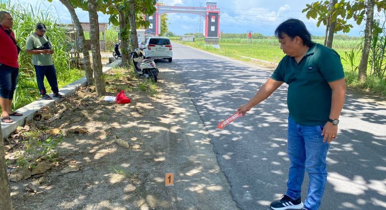 foto slider headline